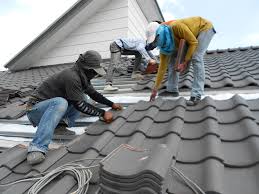 Best Steel Roofing  in Millsboro, DE